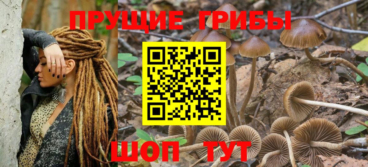 Галлюциногенные грибы мухоморы Гусиноозёрск