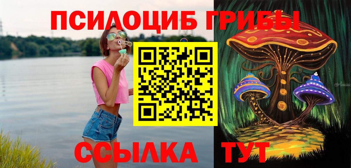 купить наркотик  Вход с VPN  Гусиноозёрск  Галлюциногенные грибы Psilocybe 