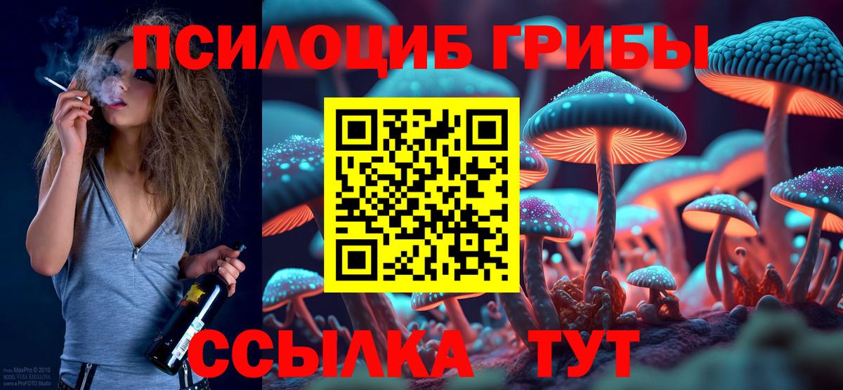 Галлюциногенные грибы Cubensis  Гусиноозёрск 