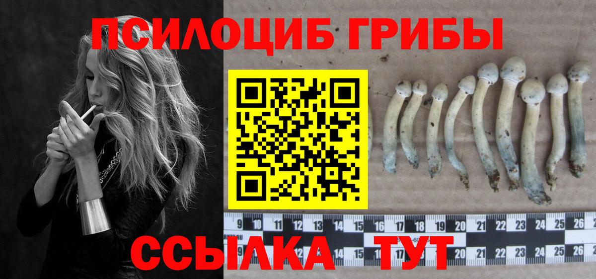 Псилоцибиновые грибы мицелий Гусиноозёрск